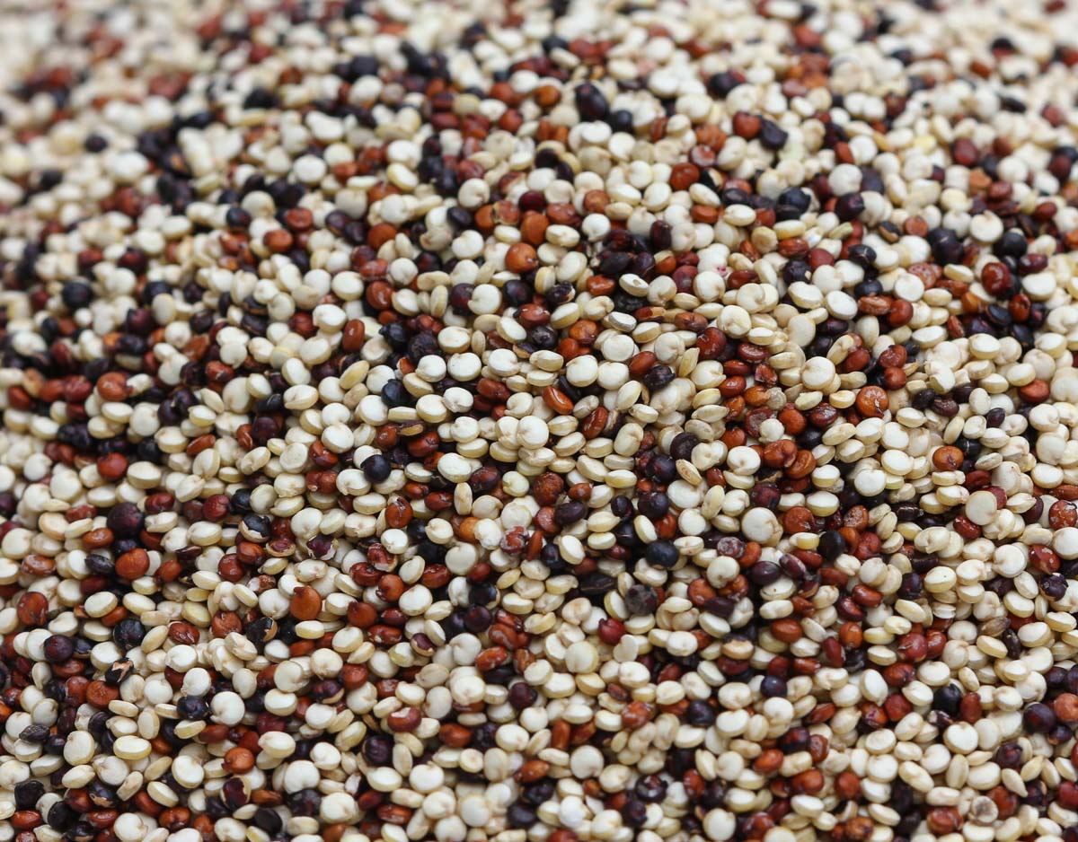 Quinoa dreifarbig Bio 500 g